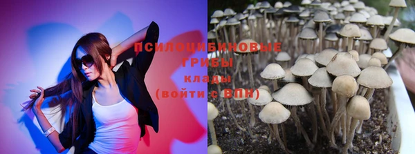 прущий лед Магас