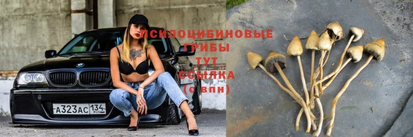 прущий лед Магас
